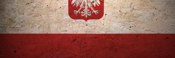 Polen-Head 3