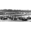Goodwood 1950_1100cc-Race_12th August; 10- GIBBS Special (HKX626) 3rd place; 7- TREEN Riley Brooklands (VC485); 12- TREEN Riley Special (KBP791) 